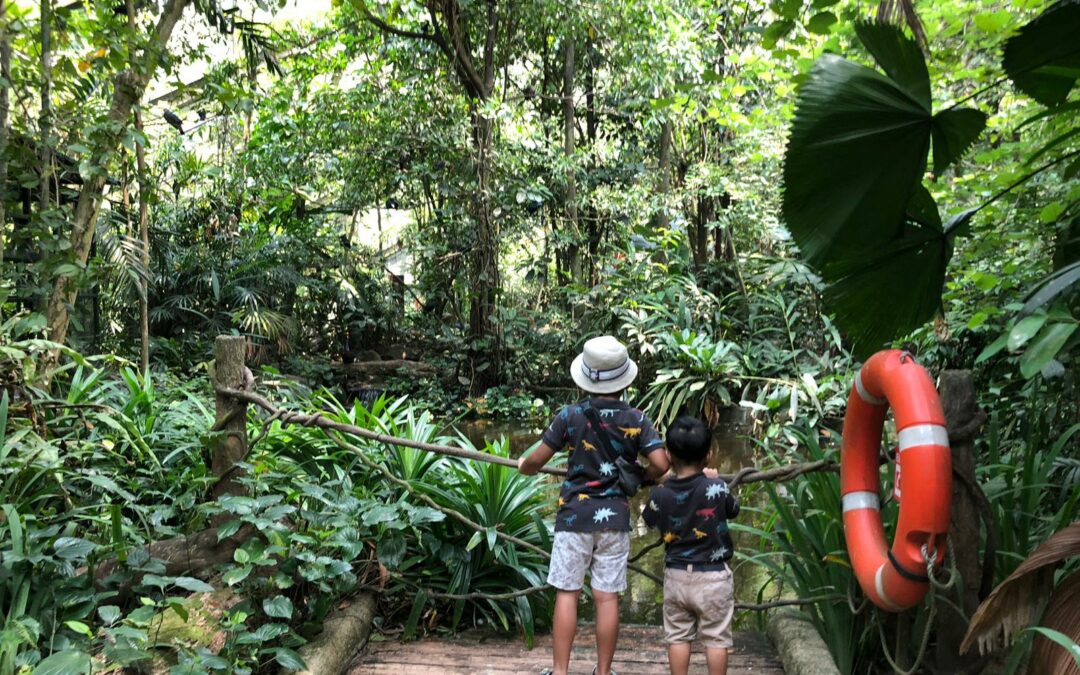 “Fly Free” at Jurong Bird Park: Four things you should know before flocking down