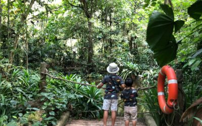 “Fly Free” at Jurong Bird Park: Four things you should know before flocking down